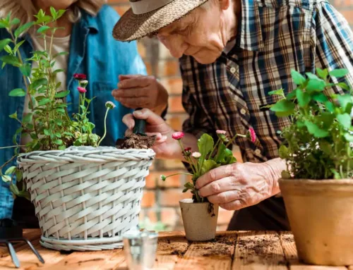 15 Enriching Physical, Creative, and Social Activities for Seniors with Dementia